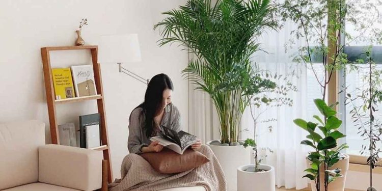 Cách rèn luyện lối sống tối giản của người Nhật đơn giản