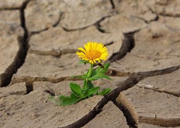 Dấu hiệu của người tiêu cực qua lời nói, hành động, cảm xúc